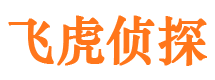 烟台市调查公司